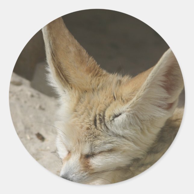 Adesivo Fennec Fox Sticker (Frente)