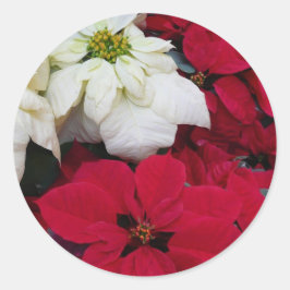 Adesivo Férias de Natal White e Red Poinsettias II
