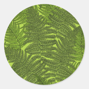 Adesivo Fern em verde