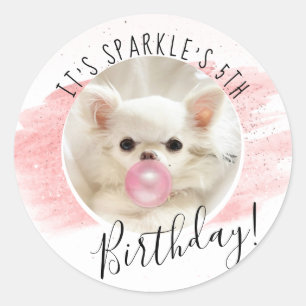 Adesivo Festa de aniversário de Cachorro Sparkle The Tin