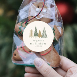 Adesivo Festa de aniversário de inverno