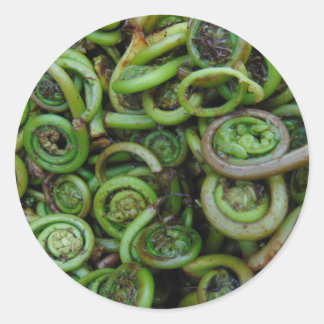 Adesivo Fiddlehead Ferns