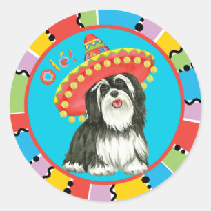 Adesivo Fiesta Havanese