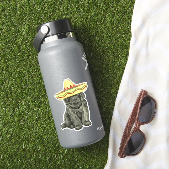 Adesivo Fiesta Newfound Vinyl Sticker (HydroFlask Insitu)