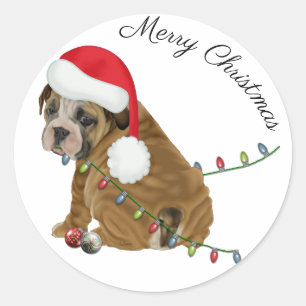 Adesivo Filhote de Bulldog Inglês Natal