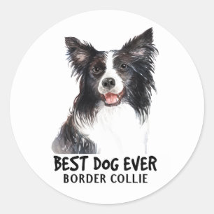 Adesivo Filhote de Cachorro Fofo Amante Border Collie Pret