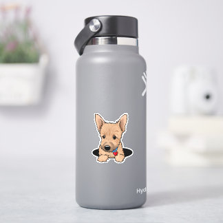 Adesivo Filhote de Norwich terrier