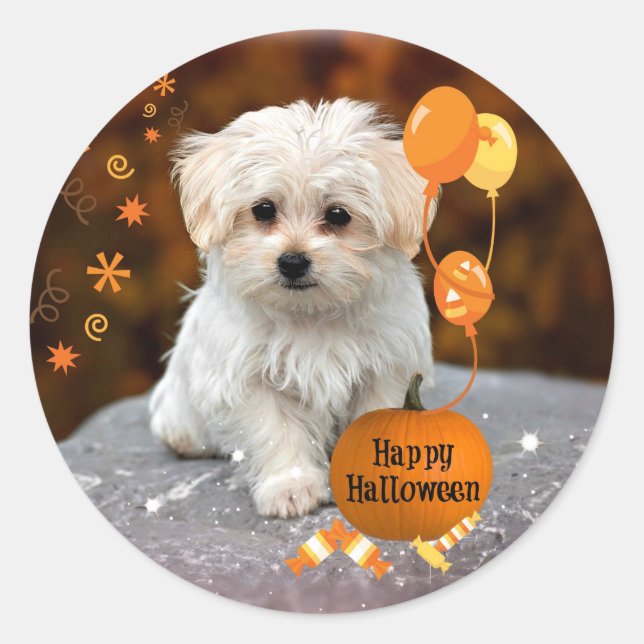 Adesivo Filhote maltês comemora Halloween (Frente)