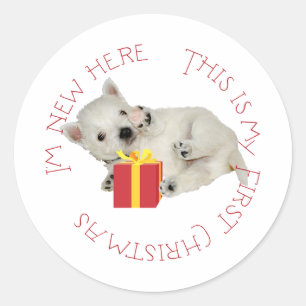 Adesivo Filhote Westie Primeiro Natal