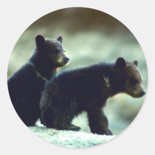 Adesivo Filhotes de urso preto
