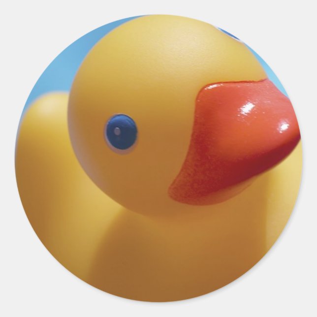 Adesivo Fim-Acima de borracha do pato (Frente)