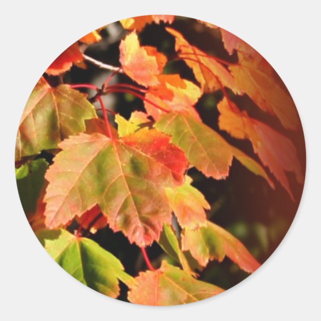 Adesivo Fim Rústica No Invólucro De Casamento De Casamento (Frente)