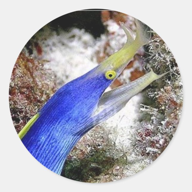 Adesivo Fita (Frente)