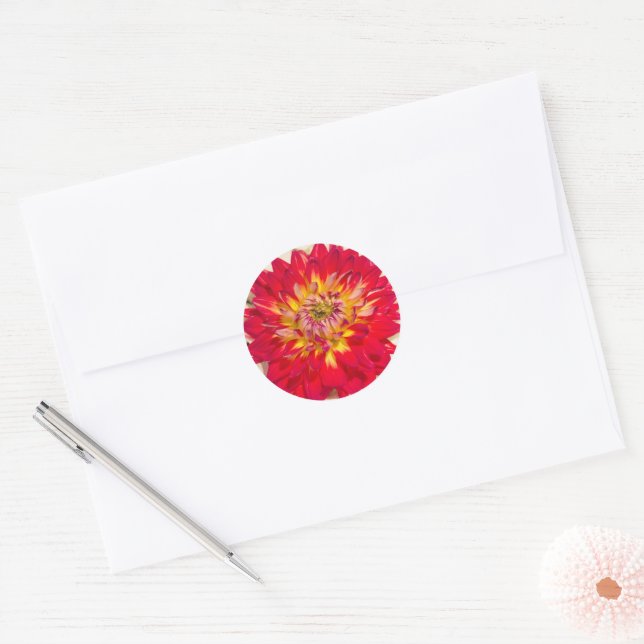 Adesivo Flaming Red E Yellow Dahlia Sticker (Envelope)