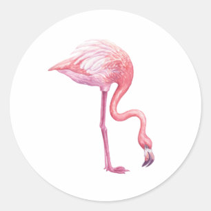 Adesivo Flamingo