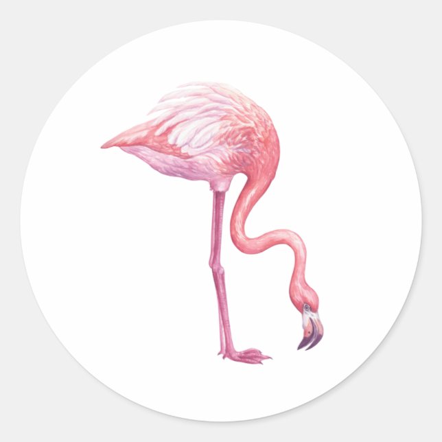 Adesivo Flamingo (Frente)