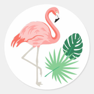 Adesivo Flamingo