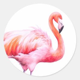 Adesivo Flamingo Cor de Água Moderna Rosa