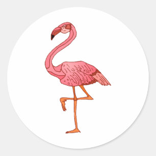 Adesivo Flamingo de Franklin
