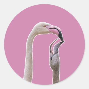 Adesivo Flamingo Mãe E Bebê