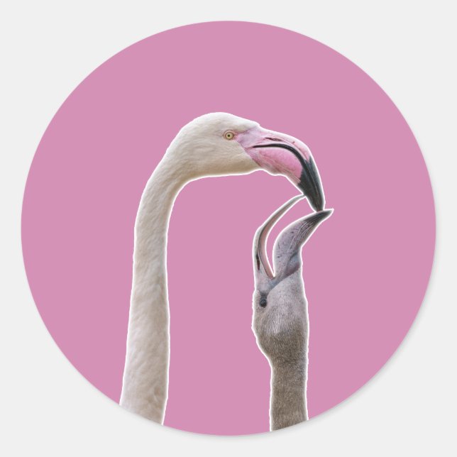 Adesivo Flamingo Mãe E Bebê (Frente)