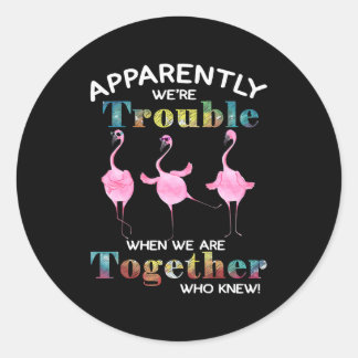 Adesivo Flamingo Parece Ter Sido Problema \