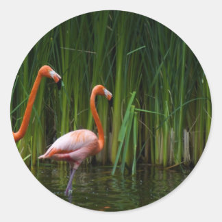 ADESIVO FLAMINGO ROSA