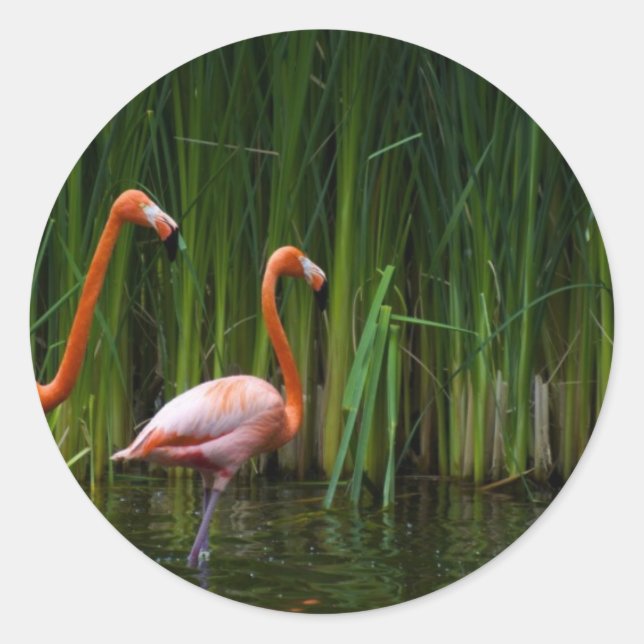 ADESIVO FLAMINGO ROSA (Frente)