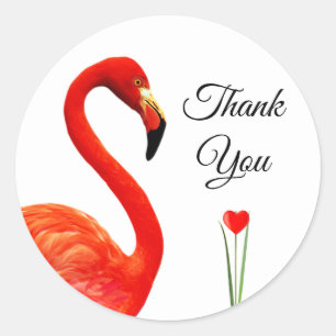 Adesivo Flamingo Rosa & Coração Obrigado