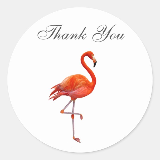 Adesivo Flamingo Rosa em Fundo Branco Obrigado (Frente)
