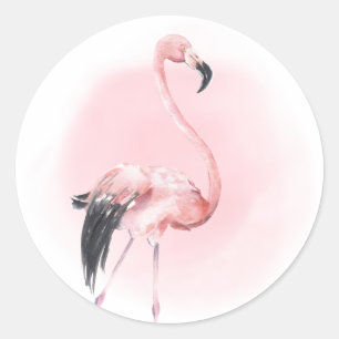 Adesivo Flamingo Rosa Tropical