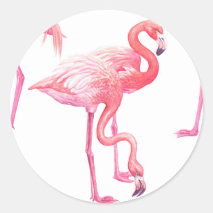 Adesivo Flamingos