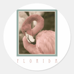 Adesivo Flamingos