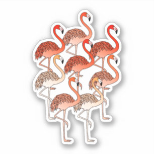 Adesivo Flamingos Cor-de-coral