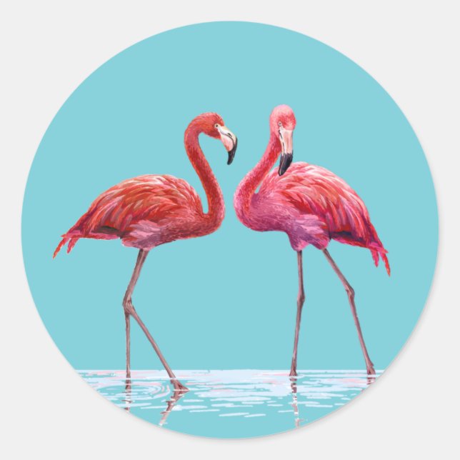 Adesivo Flamingos Sticker (Frente)