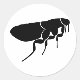 Adesivo Flea