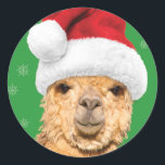 Adesivo Fleece Navidad Christmas Llama com Santa Hat<br><div class="desc">Um adesivo que combina o cartão de Natal da Fleece Navidad com a mesma imagem!</div>
