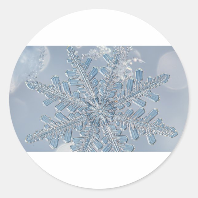 Adesivo Floco de neve microscópico (Frente)