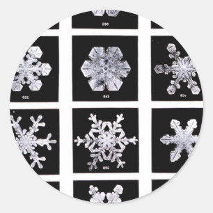 Adesivo Flocos de neve de Wilson Bentley