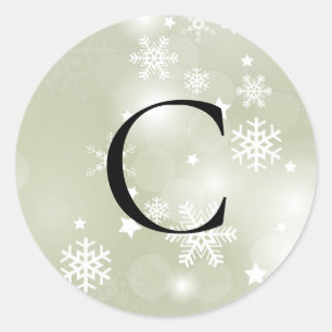 Adesivo Flocos de neve no Sage Classic Sticker Envelope Se
