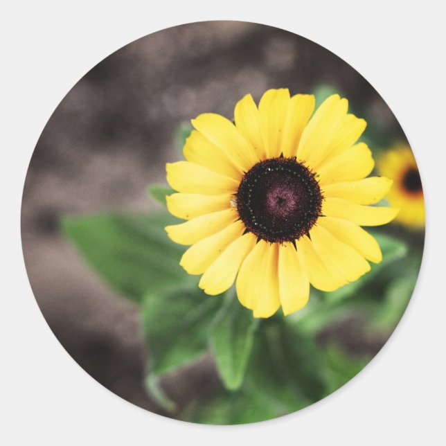 Adesivo Flor 1 (Frente)