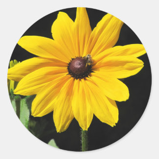 Adesivo Flor Amarelo Sunny