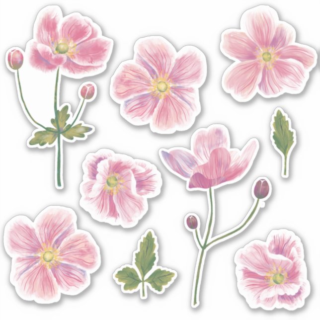 Adesivo Flor Anêmone Japonês (Frente)