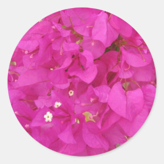 Adesivo Flor Bougainvillea rosa (Grécia)