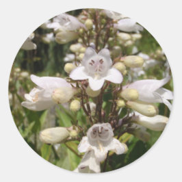 Adesivo Flor Branca