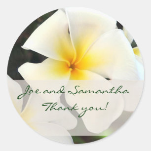 Adesivo Flor Branca De Plumeria Obrigado Sticker