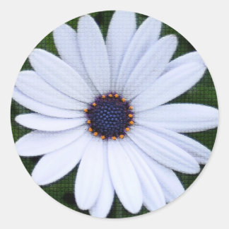 Adesivo Flor com revestimento