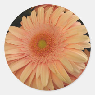 Adesivo Flor cor-de-rosa