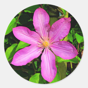 Adesivo Flor Cor-de-Rosa Brilhante e Fundo Verde