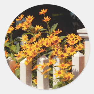 Adesivo Flor - Coreopsis - O calor do Verão